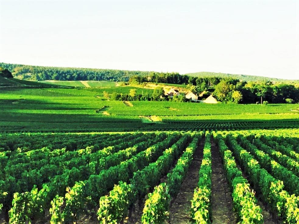 Domaine Pont Juillet Bed & Breakfast Fontaines  Exterior photo