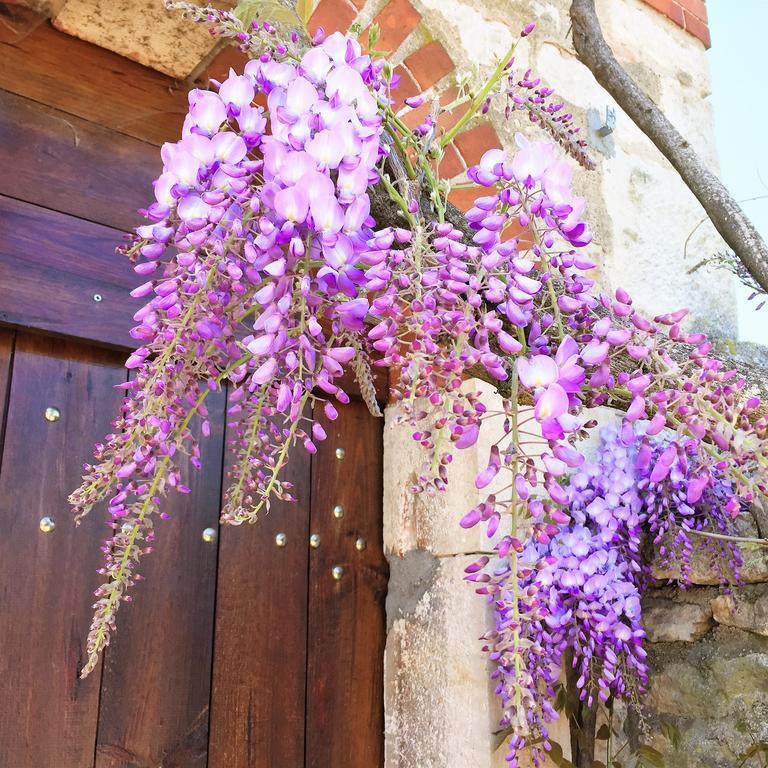 Domaine Pont Juillet Bed & Breakfast Fontaines  Room photo