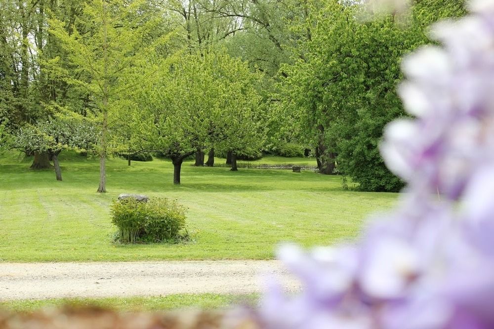 Domaine Pont Juillet Bed & Breakfast Fontaines  Exterior photo